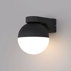 Светильник настенный MRL 1028 IP54 MRL 1028 черный Elektrostandard a062858