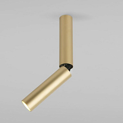 Pika 6W (25029/LED)/Светильник накладной золото 25029/LED Elektrostandard a061110