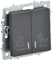 BRITE Выключатель 2-клавишный с индикацией для отелей 10А ВС10-2-9-БрГ графит IEK BR-V20-2-10-K53