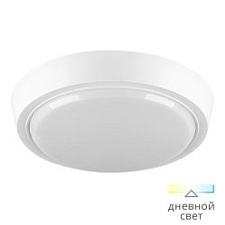 Светильник светодиодный 10Вт 800Лм 4000K IP20 круг (40шт/уп) WOLTA DBO01-10-4K