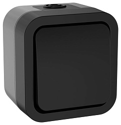 TORS Переключатель одноклавишный 10А IP55 TS101 графит IEK TS-V10-0-10-55-K53