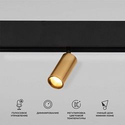 Slim Magnetic Умный трековый светильник 5W 2700-6500K Dim Cantors (латунь) 85071/01 Elektrostandard a063531