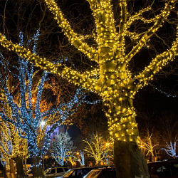 Праздничная гирлянда нить белый 20м IP65 400-102 Elektrostandard Eurosvet a044075