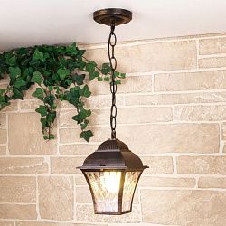 Светильник уличный подвесной IP33 Apus H черное золото GL 1009H Elektrostandard a043115