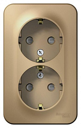 Розетка 2-м ОП Blanca 16А IP20 250В с заземл. защ. шторки с изолир. пластиной титан SE BLNRA011214 1210597