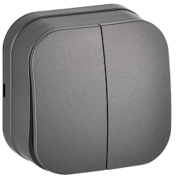 GLORY Выключатель 2-клавишный для открытой установки 10А ВС20-2-0-ХСм сталь матовый IEK EVH20-K46M-10