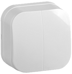 GLORY Выключатель 2-клавишный для открытой установки 10А ВС20-2-0-ХБ белый IEK EVH20-K01-10