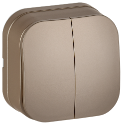 GLORY Выключатель 2-клавишный для открытой установки 10А ВС20-2-0-ХШм шампань матовый IEK EVH20-K37M-10