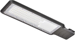 Светильник уличный светодиодный консольный ДКУ ECO 8010  60W IP66 LL8010-60W