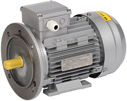 Электродвигатель асинхронный трехфазный АИР 63B2 380В 0,55кВт 3000об/мин 2081 DRIVE IEK DRV063-B2-000-5-3020
