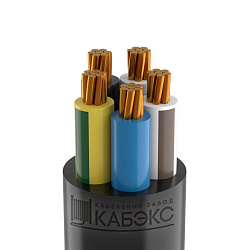 Кабель ВВГнг(А)-LS 5х50 мк (N PE) 0.66кВ (м) Кабэкс ТХМ00209002 429646