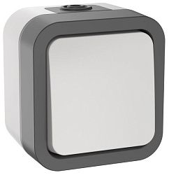 TORS Выключатель кнопочный 10А IP55 TS210 серо-белый IEK TS-V14-0-10-55-K41