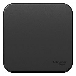 Выключатель 1-кл. ОП Blanca 10А IP20 (сх. 1) 250В антрацит SE BLNVA101006 1210611