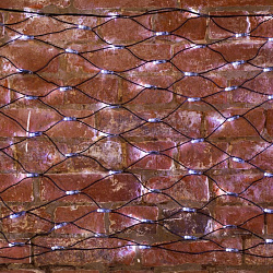 Гирлянда светодиодная Сеть 2х0,7м 176 LED БЕЛЫЙ черный ПВХ IP65 свечение с динамикой 230В контроллер в комплекте NEON-NIGHT 215-011