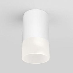 Светильник уличный потолочный Light LED 2106 IP54 35139/H белый Elektrostandard a057157