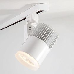 Светильник светодиодный трековый для однофазного шинопровода Accord 30W Белый 4200K LTB20 Elektrostandard a039567