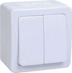 Выключатель 2-клавишный для открытой установки ВС20-2-0-ГПБ IP54 ГЕРМЕС PLUS (цвет клавиши: белый) IEK EVMP20-K01-10-54-EC