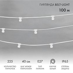 Гирлянда Belt-Light 2 жилы, 100м, шаг 40см, 225 патронов E27, IP65, белый провод NEON-NIGHT 331-252