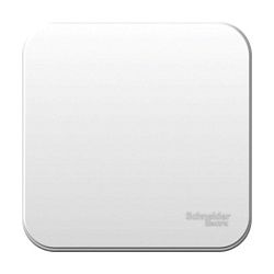 Выключатель 1-кл. ОП Blanca 10А IP20 (сх. 1) с самовозвратом с изолир. пластиной бел. SE BLNCA101011 1210454