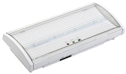 Светильник аварийный ДПА 5040-1 постоянный 1ч IP54 IEK LDPA0-5040-1H-K01