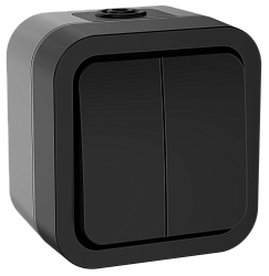 TORS Выключатель двухклавишный 10А IP55 TS105 графит IEK TS-V20-0-10-55-K53