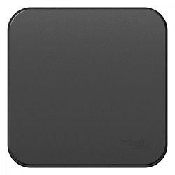 Выключатель 1-кл. ОП Blanca 10А IP20 (сх. 1) с самовозвратом с изолир. пластиной антрацит SE BLNCA101016 1210626