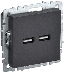 BRITE Розетка USB A+A 5В 3,1А РЮ10-1-БрЧ черный IEK BR-U21-D31-K02