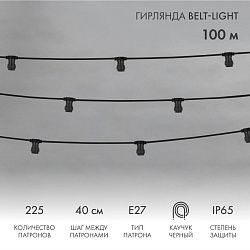 Гирлянда Belt-Light 2 жилы, 100м, шаг 40см, 225 патронов E27, IP65, черный провод NEON-NIGHT 331-212