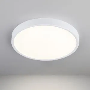 Накладной светодиодный светильник DLR034 24W 4200K Elektrostandard a043016