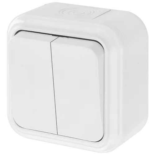 Выключатель двухклавишный брызгозащищенный открытой установки А5 6-224