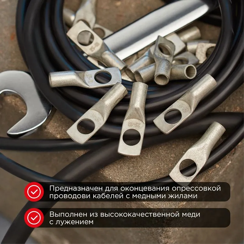 Наконечник медный луженый ТМЛ 25–10–8 (25мм² - Ø8мм) ГОСТ 7386-80 (в упак. 100шт) REXANT - Фото 2