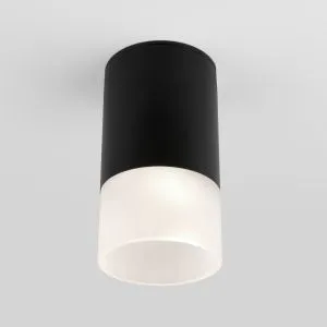 Светильник уличный потолочный Light LED 2106 IP54 35139/H черный Elektrostandard a057156