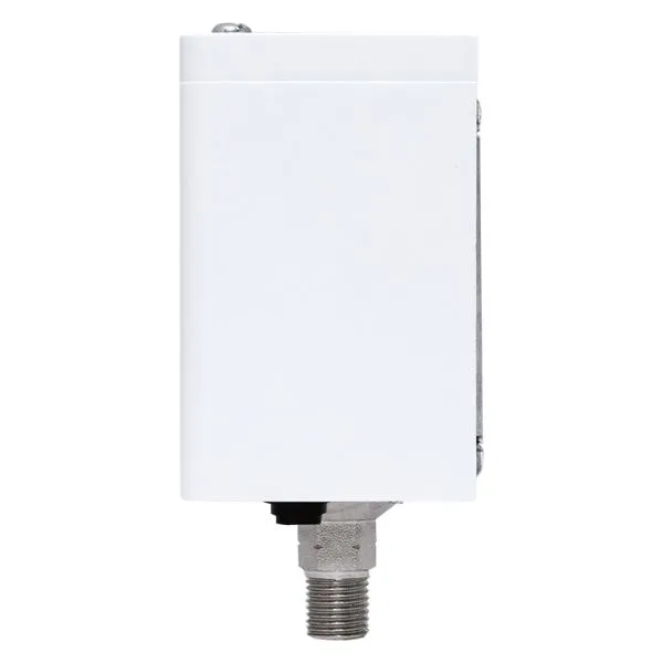 Реле избыточного давления EKF RVG-20-0,6 (0,6 МПа) - Фото 6