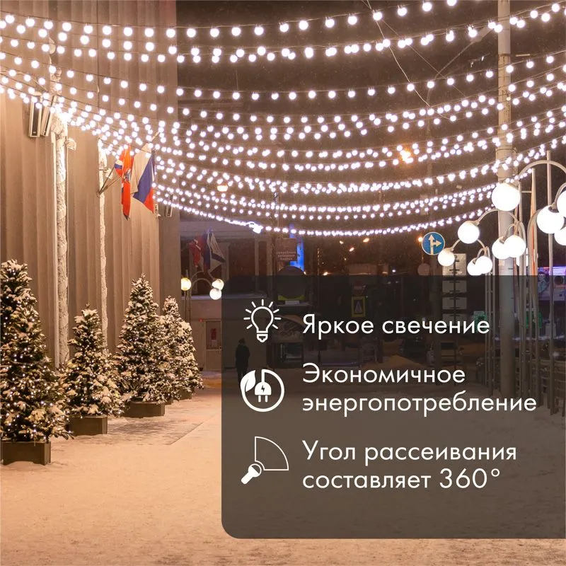 Ретро-лампа филаментная G45, E27, 2 LED, 2Вт, ТЕПЛЫЙ БЕЛЫЙ, 230В, IP65 NEON-NIGHT - Фото 2