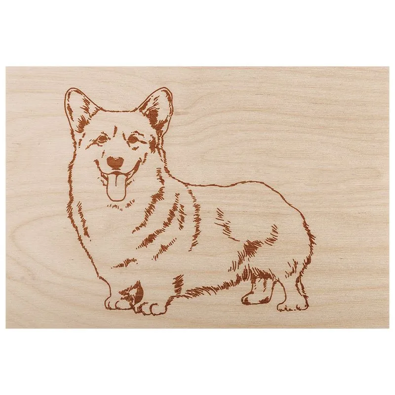 Доски для выжигания «Набор №2» (воин, динозавр, собака, машина, без рисунка), 148х210мм (А5), 5 шт., пакет REXANT - Фото 3