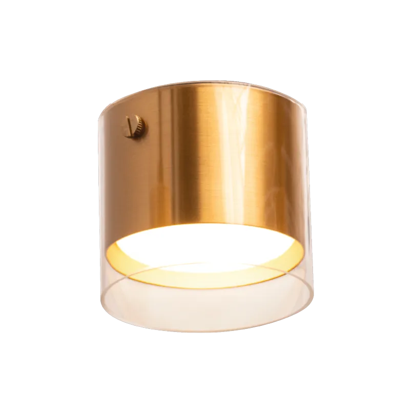 Накладной светильник WOLTA WSL-GX53/07G IP20 под лампу GX53 Золото ORO D87x78 1/50 - Фото 4