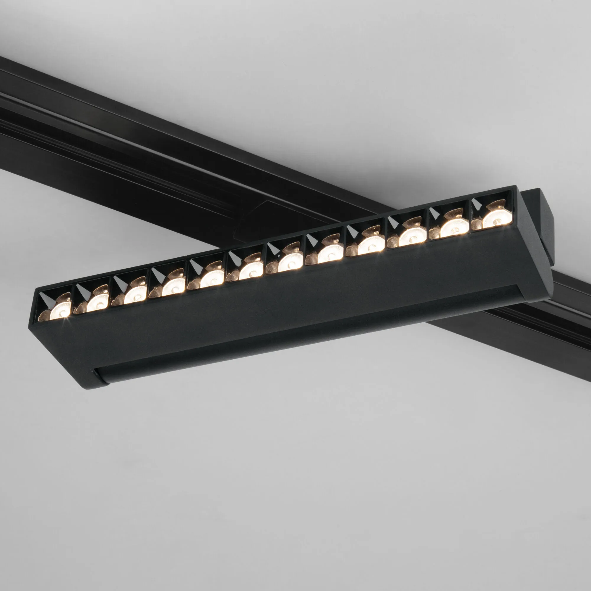 Garda Черный 20W 4200K (85018/01) однофазный 85018/01 Elektrostandard - Фото 2