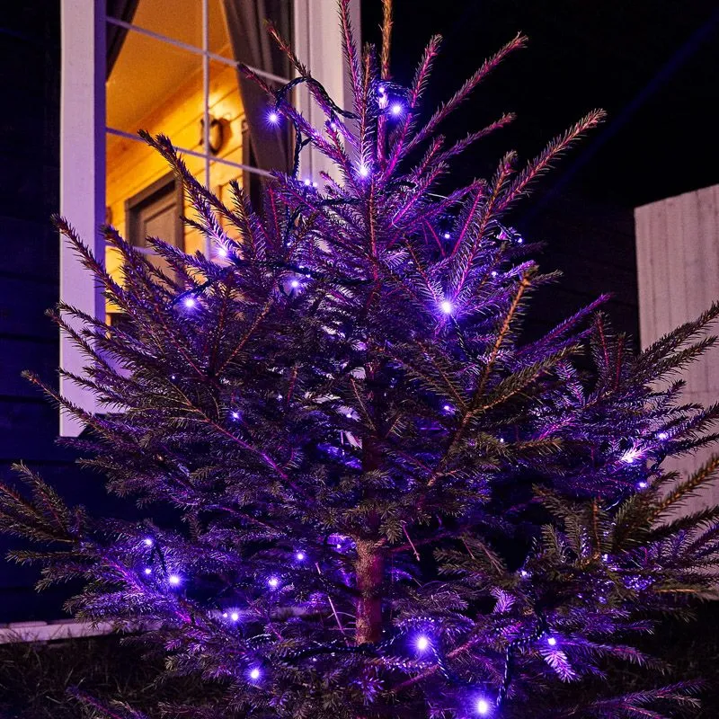 Гирлянда Нить управляемая 10м 100 LED ФИОЛЕТОВЫЙ черный ПВХ IP65 свечение с динамикой 230В контроллер в комплекте NEON-NIGHT - Фото 2