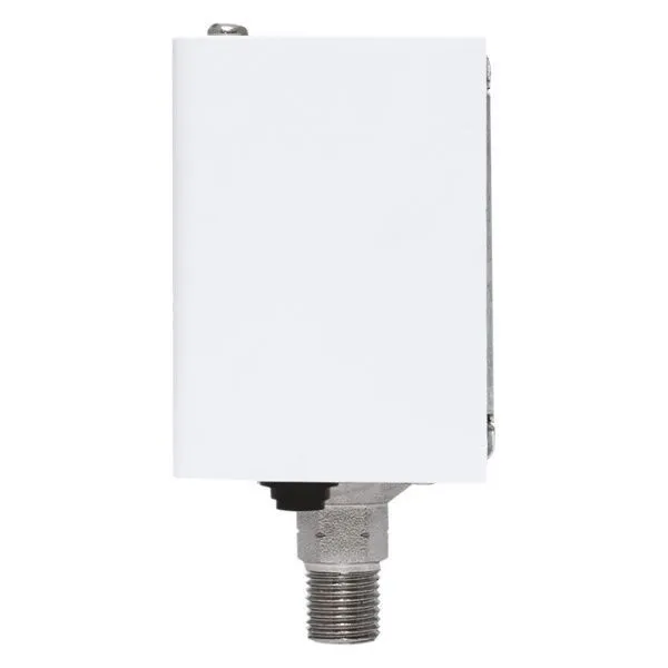 Реле избыточного давления EKF RVG-20-0,6 (0,6 МПа) - Фото 11