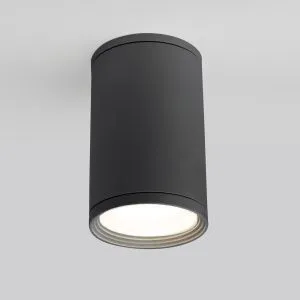 Светильник уличный потолочный Light 2101 IP65 35128/H серый Elektrostandard a056227