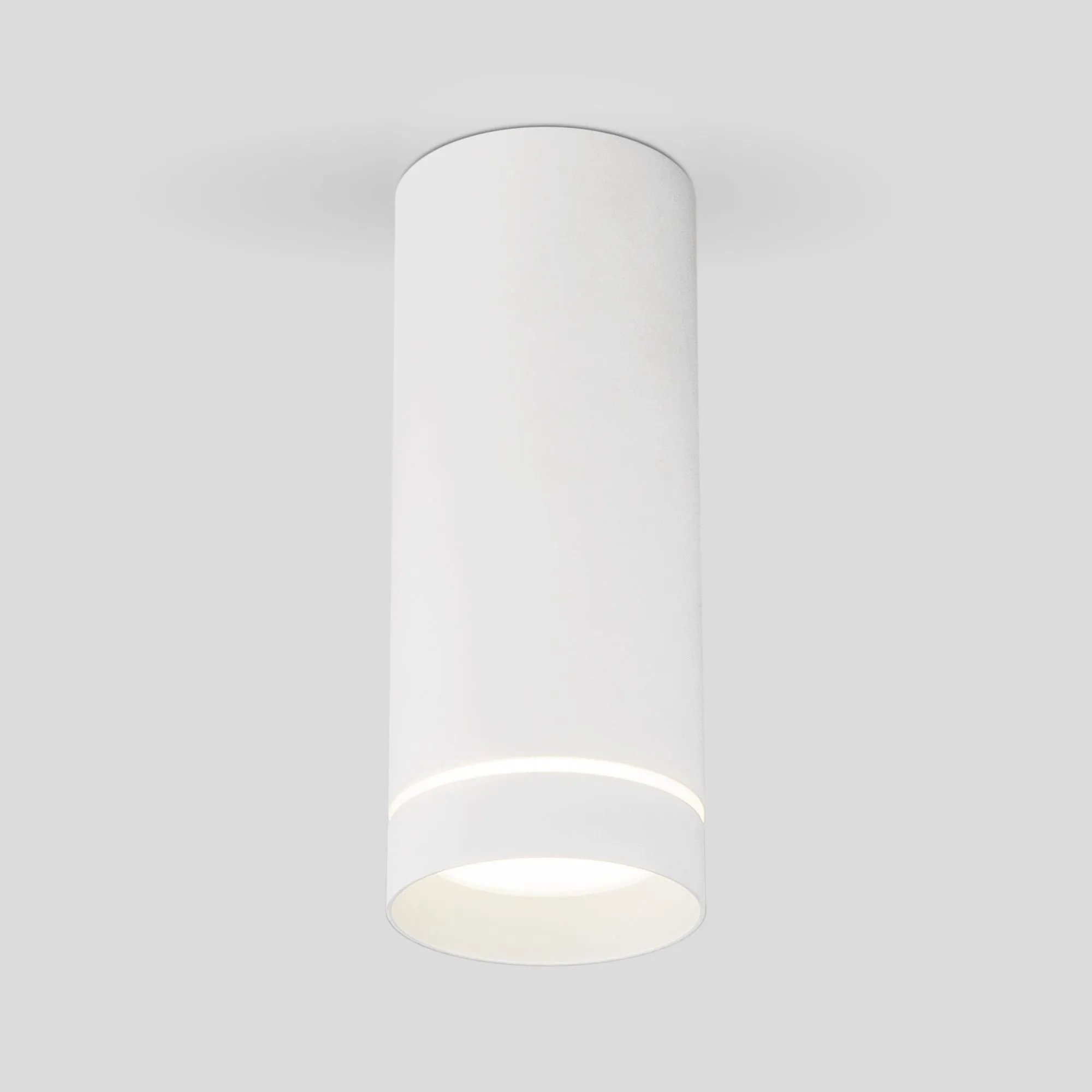 Светильник светодиодный накладной акцентный DLR022 12W 4200K белый матовый Elektrostandard