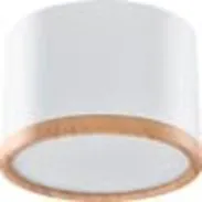 Светильник светодиодный накладной SPOT07 5Вт 375Лм 4000К WOLTA SPOT07-CLL5W-1