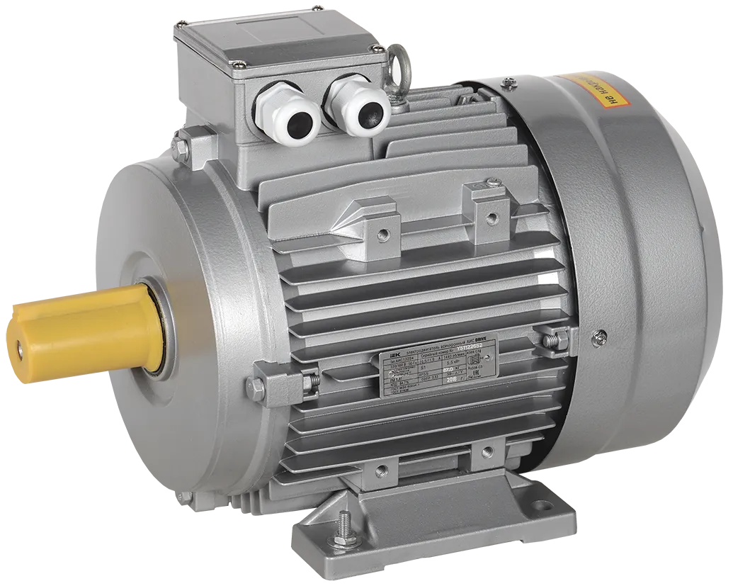 Электродвигатель асинхронный трехфазный АИС 160L2 660В 18,5кВт 3000об/мин 1081 DRIVE IEK