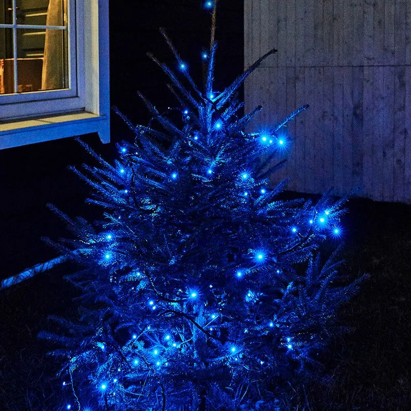 Гирлянда Нить управляемая 10м 100 LED СИНИЙ черный ПВХ IP65 свечение с динамикой 230В контроллер в комплекте NEON-NIGHT - Фото 2