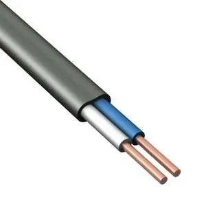 Кабель ВВГ-Пнг(А)-LSLTx 2х2.5 ок (N) 0.66кВ (м) ПромЭл 5237470 523747