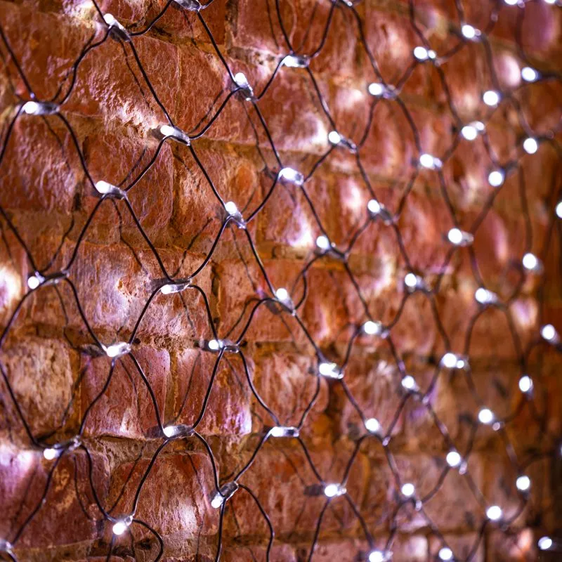 Гирлянда светодиодная Сеть 2х1,5м 288 LED БЕЛЫЙ черный ПВХ IP65 свечение с динамикой 230В блок в комплекте NEON-NIGHT - Фото 2