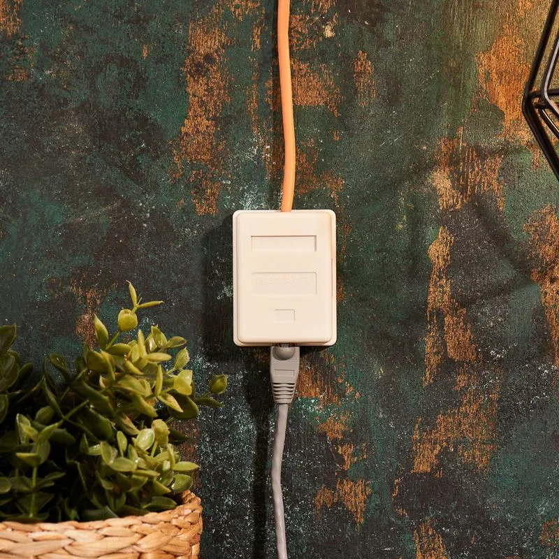 Розетка компьютерная внешняя, 1-порт RJ-45 (8P8C), UTP, CAT 5e, пакет, 1 шт. PROconnect - Фото 2