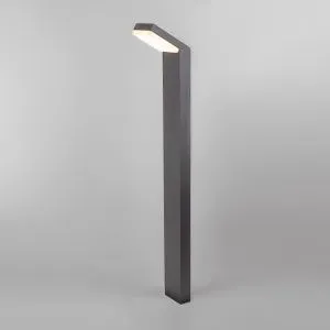 Светильник светодиодный ландшафтный Sensor IP54 1542 TECHNO LED серый Elektrostandard a053949