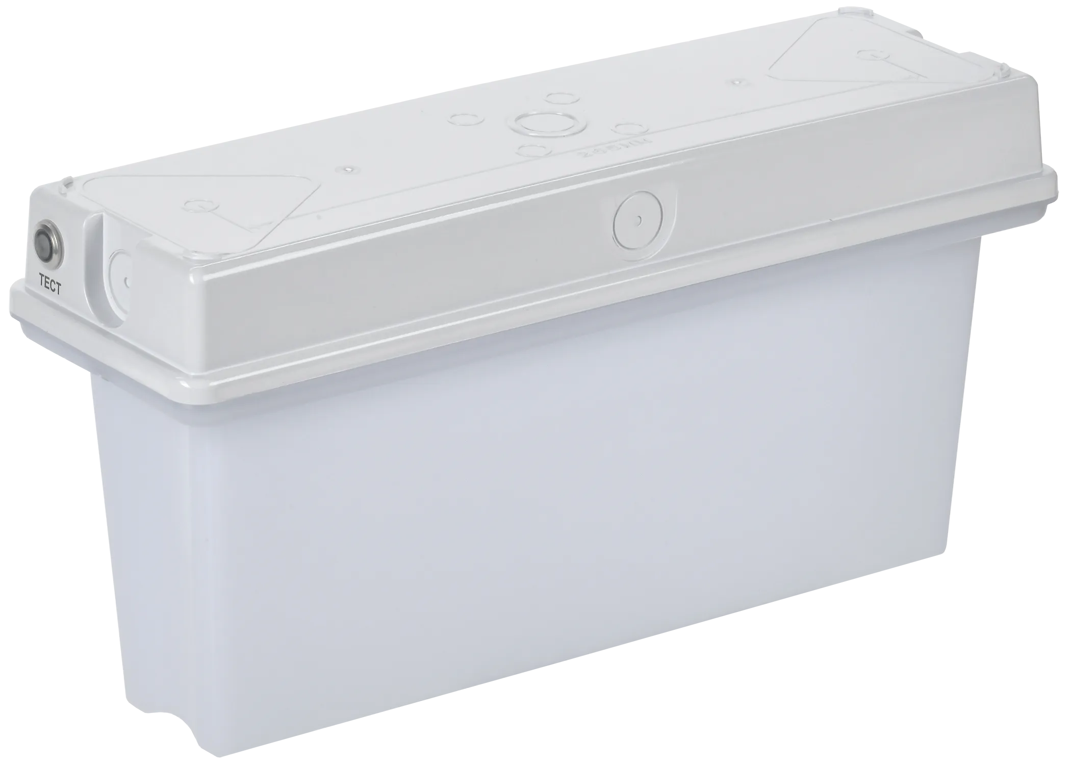 Светильник аварийный ССА1010 3ч универсальный IP65 IEK LSSA1-1010-3-65-K01