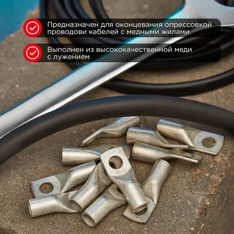 Наконечник медный луженый ТМЛ-Р 2,5–4 (2,5мм² - Ø4мм) ГОСТ 7386-80 (в упак. 100 шт.) REXANT - Фото 2